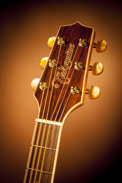 TAKAMINE G70 SERIES GN71CE-NAT user.png