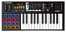 USB MIDI контроллер M-AUDIO CODE 25 Black