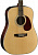 Акустическая гитара CORT EARTH100R-NAT