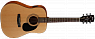 Акустическая гитара CORT AD810-OP W_BAG