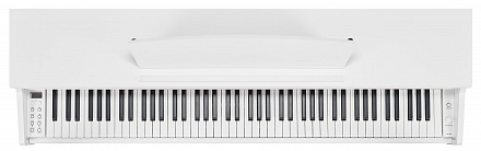 Цифровое пианино BECKER BDP-92W