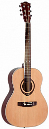 Акустическая гитара PHIL PRO AS-3607/N