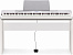 Цифровое пианино CASIO PX-350MWE