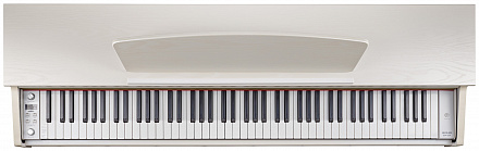 Цифровое пианино BECKER BDP-82W