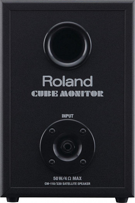 Комбо-монитор ROLAND CUBE-MONITOR-110