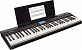 Цифровое пианино ROLAND GO:PIANO (GO-61P)